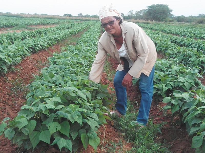 Margarida, een commerciële boerin met een kleinschalig bedrijf